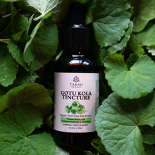 Load image into Gallery viewer, Gotu Kola Tincture