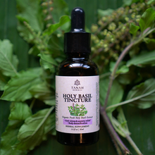 Load image into Gallery viewer, Holy Basil Tulsi Tincture