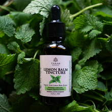 Load image into Gallery viewer, Lemon Balm Tincture