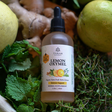 Load image into Gallery viewer, Lemon Oxymel For Immune Support