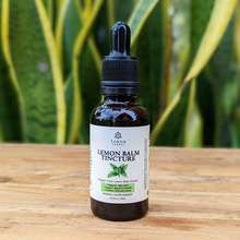Load image into Gallery viewer, Lemon Balm Tincture