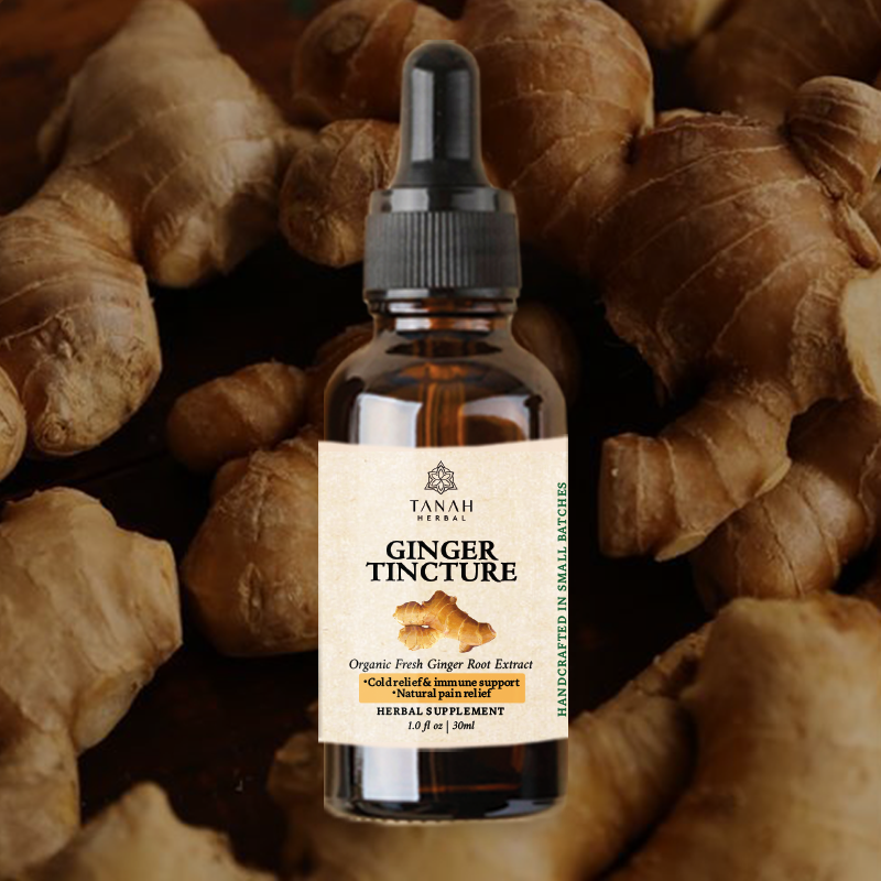 Ginger Root Tincture